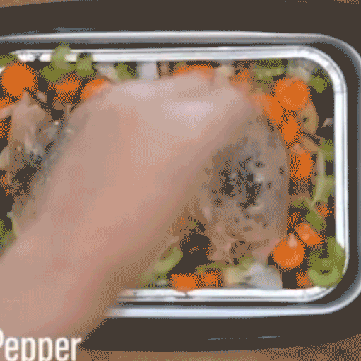 12V Portable Meal Roaster for Car & Camping