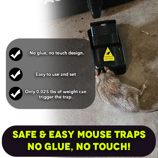 Clean Catch Pest Trap